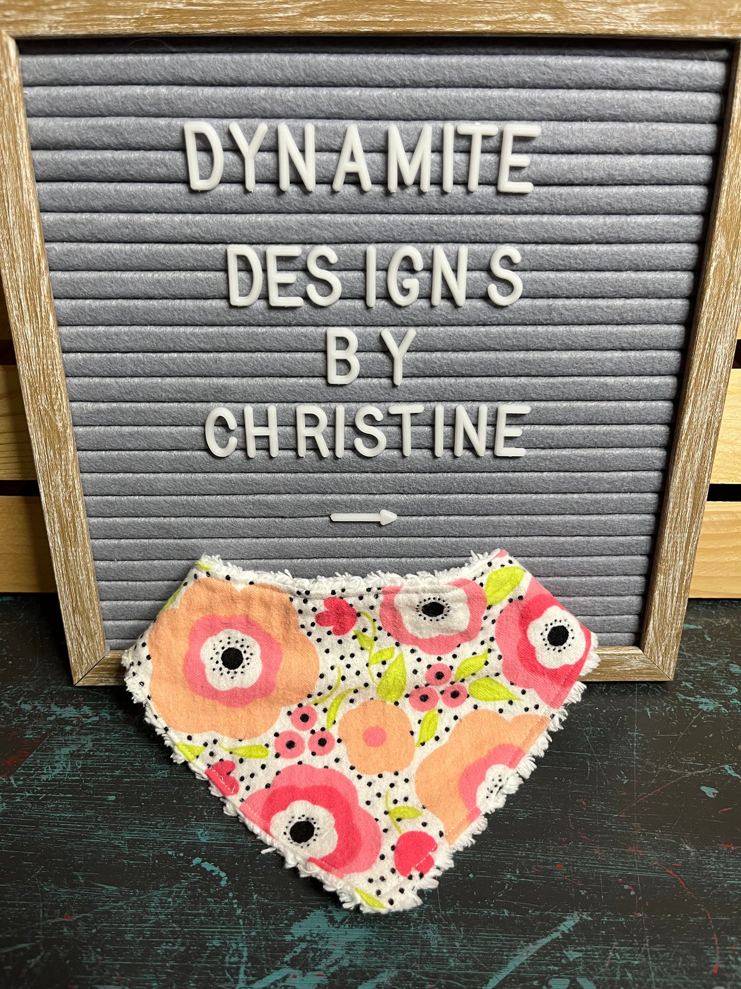 Newborn-3month Bandanna Bib